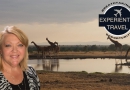 2026 South Africa, Zimbabwe & Botswana - Safari, Natural Wonders and Capital Cities