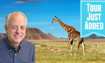 2026 African Safari with Mark Faldmo