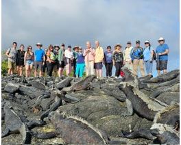 Iguanas in Galapagos