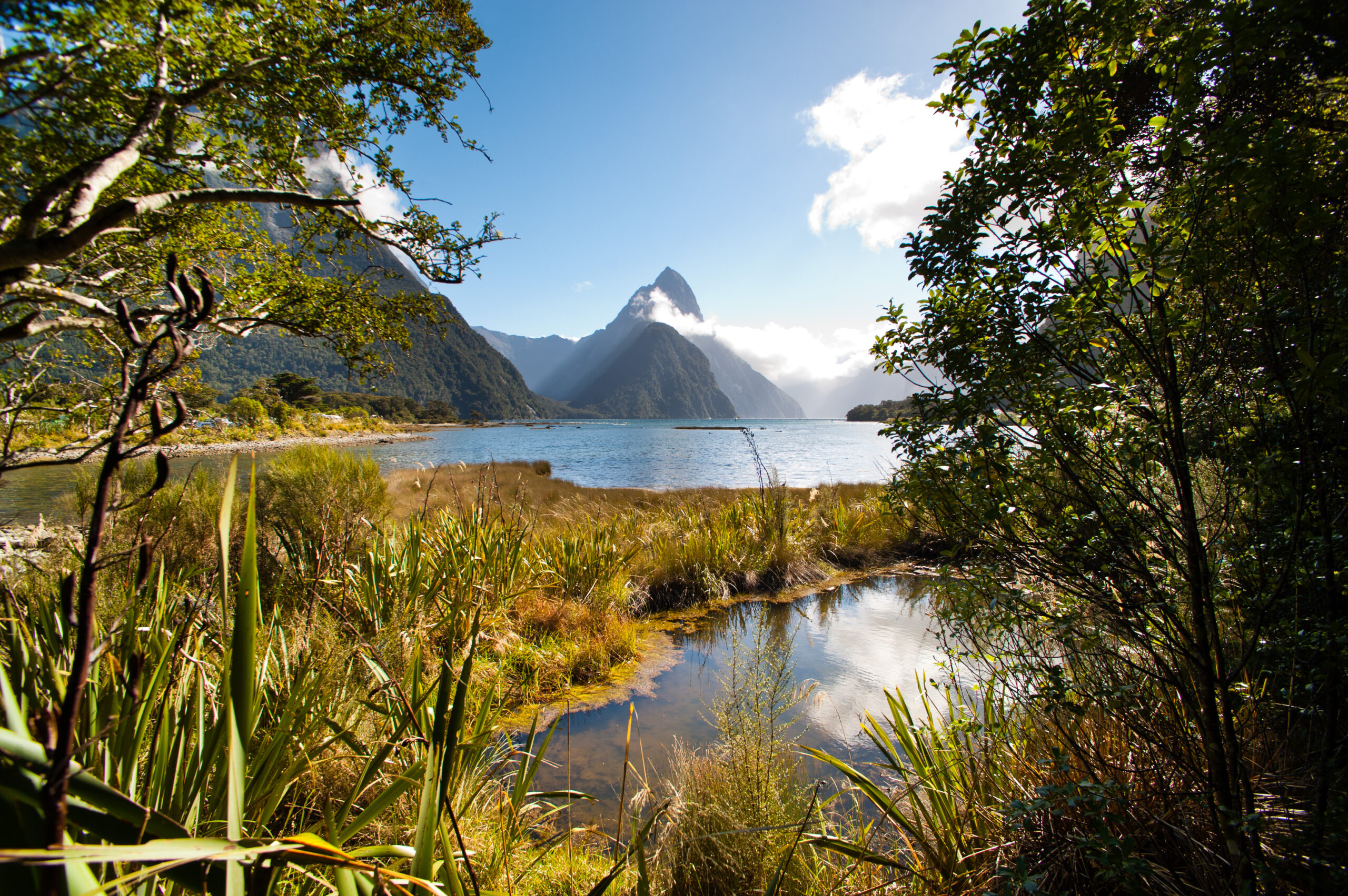 Milford_Sound_Landscape_In_New_Zealand_original_1669346_ma