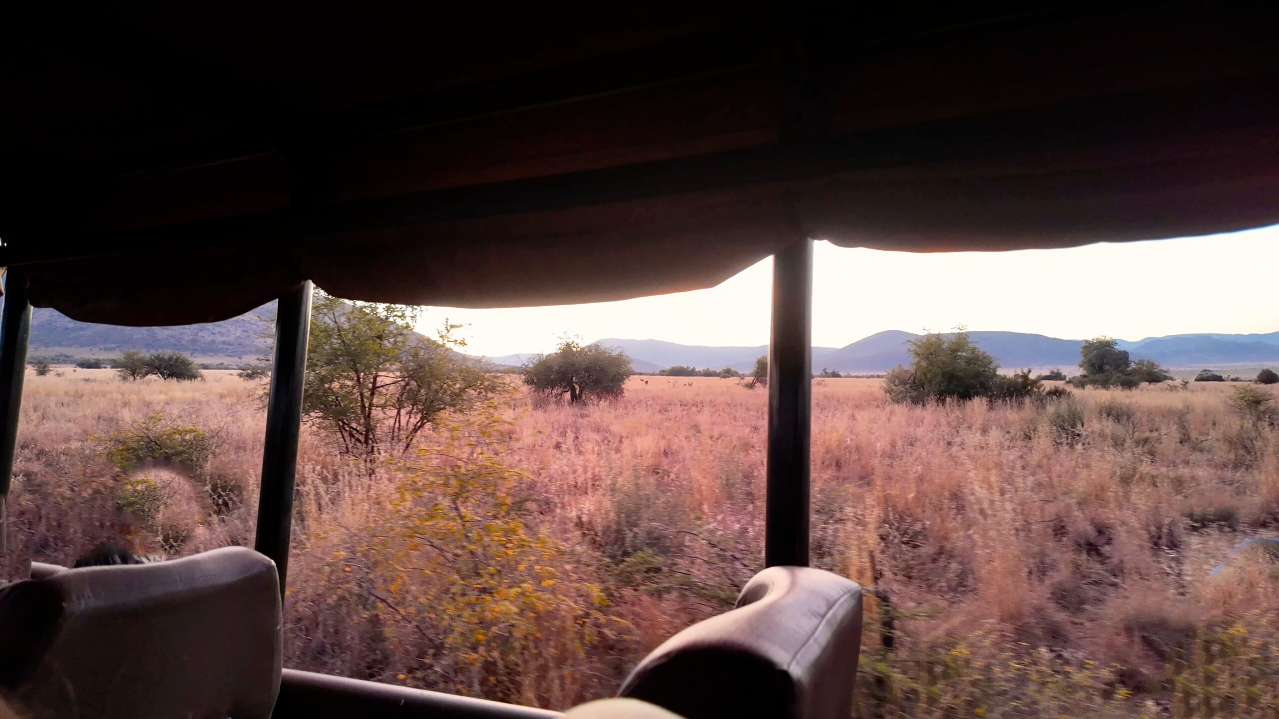 Safari_Tour_At_Serengeti_National_Park_In_Tanzania._Game_Drive_Scenery._original_3033491_MA