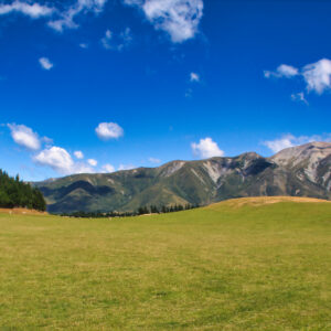 Beautiful Rolling Paddocks and Mountains Near Tekapo