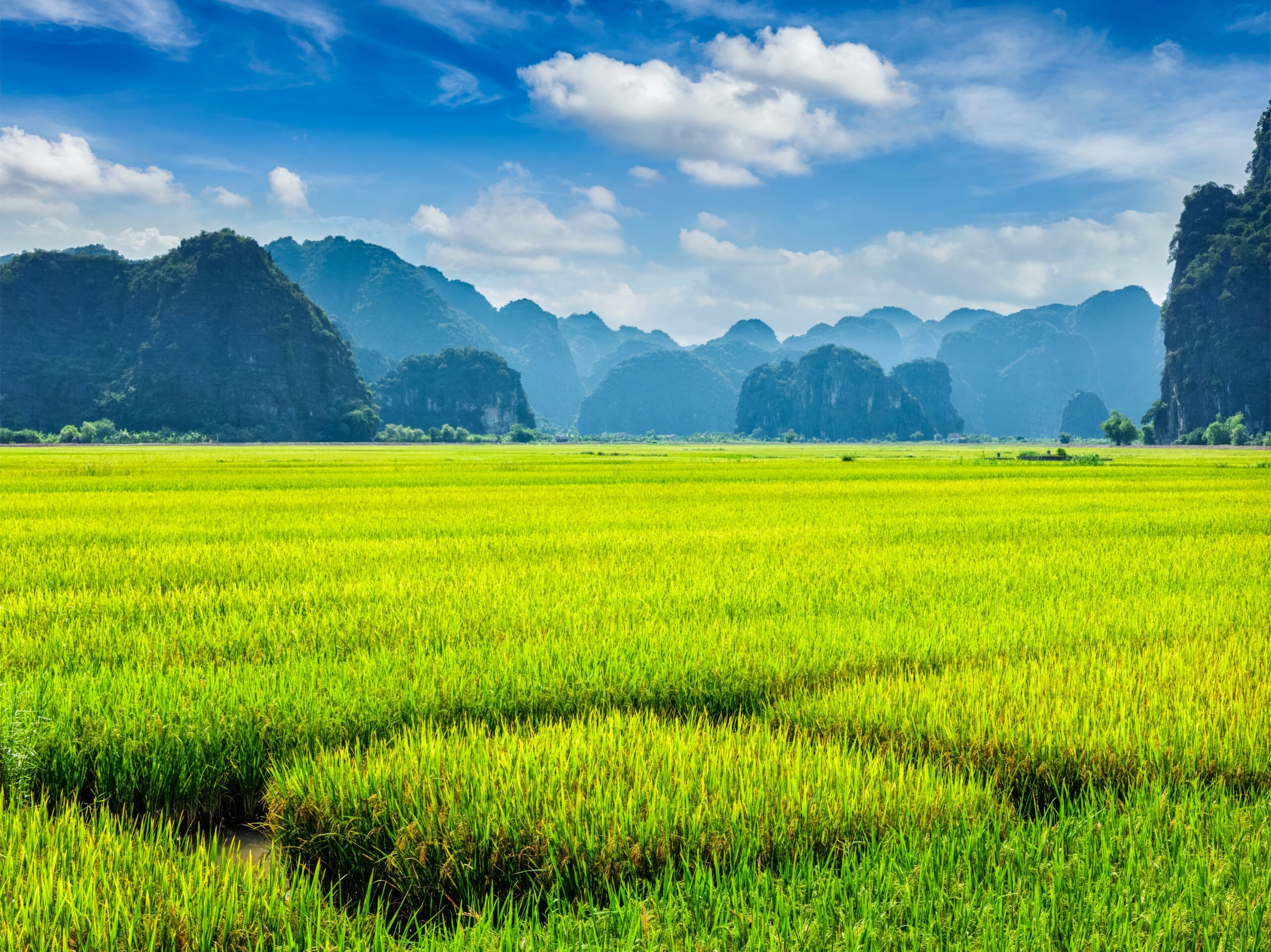 2027 November Thailand & Vietnam Tour With Larry Gelwix