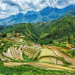 Rice field terraces. Near Sapa, Mui Ne