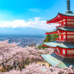 Cherry_Blossom_At_Chureito_Pagoda_original_433834_MA_Web