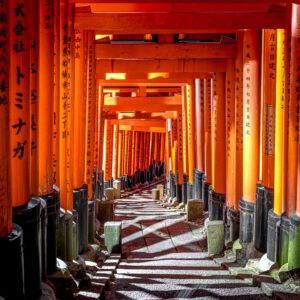 Torii_Gates_At_Fushimi_Inari_original_2757024_MA_Web